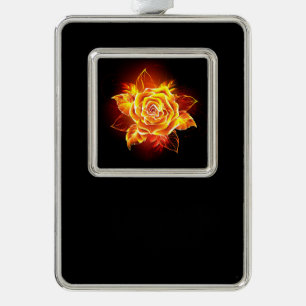 Roos voor bloei verzilverd kader ornament