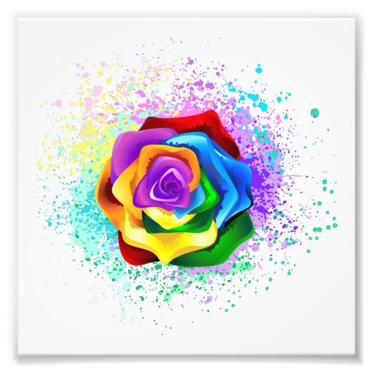 Roos voor kleurrijke regenboog foto afdruk (Voorkant)