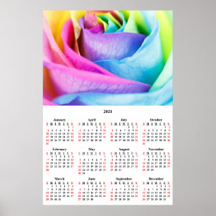 roos voor wandkalender 2021 - Poster regenboogstra