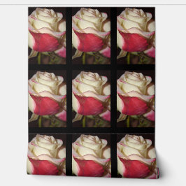 Roos Wallpaper Behang