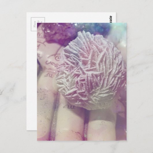 Roos woestijn briefkaart (Voorkant / Achterkant)