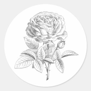 roos zwarte en witte florale sticker