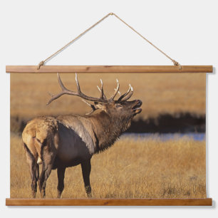 Roosevelt Eull Elk Wyoming Hangend Wandkleed