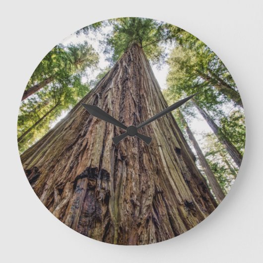 Roosevelt Grove Grote Klok (Voorkant)