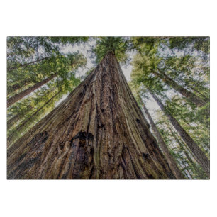 Roosevelt Grove Snijplank