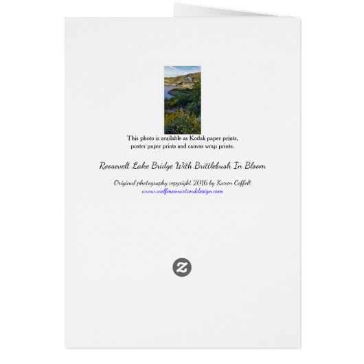 Roosevelt Lake Bridge (Dos)