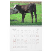 Rooster 2011 kalender (Mar 2027)