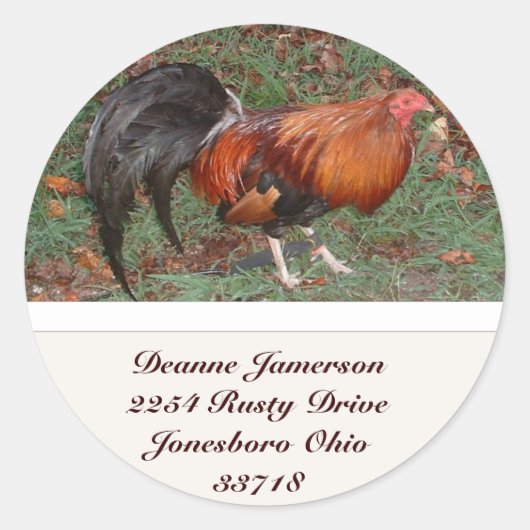 Rooster Adres Stickers (Voorkant)