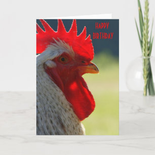 Rooster Birthday Card Kaart
