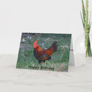 Rooster Birthday Kaart