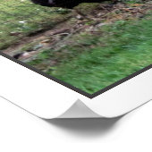 Rooster-Boerderij Poster (Hoek)