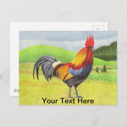 Rooster Briefkaart (Voorkant / Achterkant)