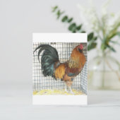 Rooster Briefkaart (Staand voorkant)