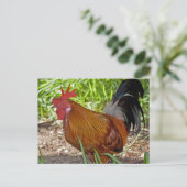 Rooster Briefkaart (Staand voorkant)