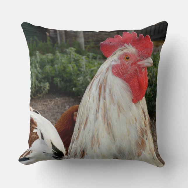 Rooster Brown Et Blanc Fier, Gros Coussin À Throw. (Recto)
