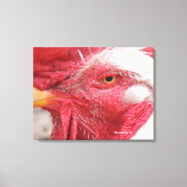 rooster canvas afdruk