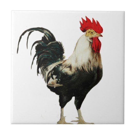  Rooster Chicken Customize Animal Best Tegeltje (Voorkant)