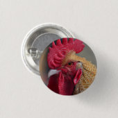 Rooster Chicken Ronde Button 3,2 Cm (Voorkant /achterkant)