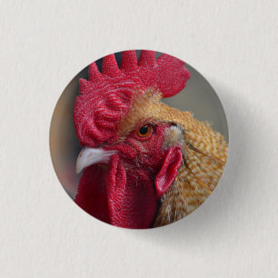 Rooster Chicken Ronde Button 3,2 Cm