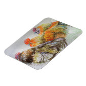 Rooster Chicken Waterverf Art Magnet Magneet (Linkerzijde)