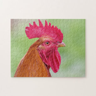 Rooster close-up legpuzzel