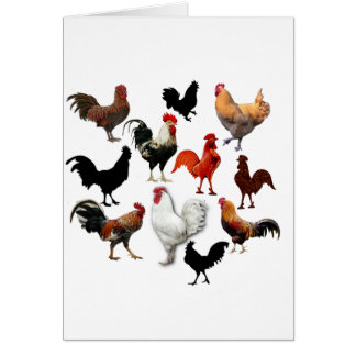 Rooster Collage Rustische kippen