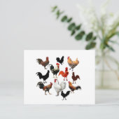 Rooster Collage  Rustische kippen Briefkaart (Staand voorkant)
