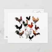 Rooster Collage  Rustische kippen Briefkaart (Voorkant / Achterkant)