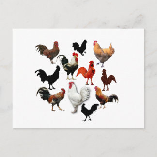 Rooster Collage Rustische kippen Briefkaart