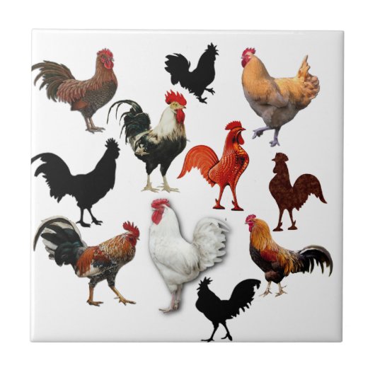 Rooster Collage Rustische kippen Tegeltje (Voorkant)