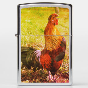 Rooster Croster Boerderij Dierlijk Abstract 