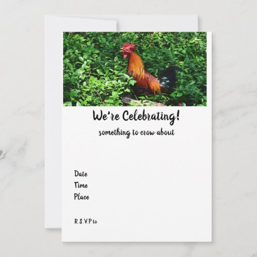 Rooster Crowing (Voorkant)