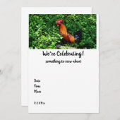 Rooster Crowing (Voorkant / Achterkant)