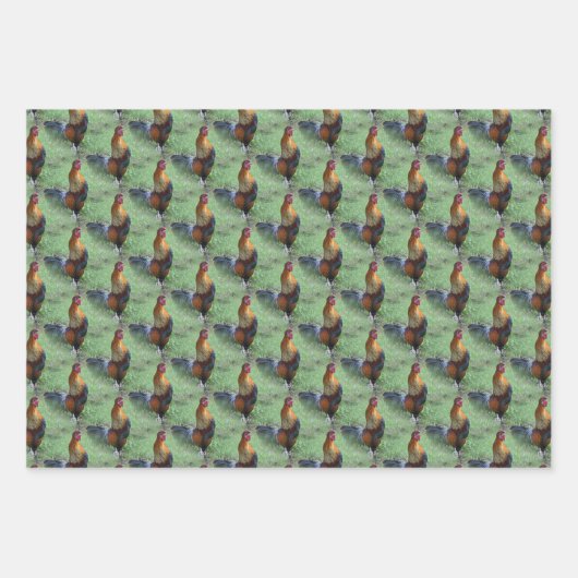 Rooster Crowing Animal Natuur Pattern Inpakpapier Vel (Voorkant 2)