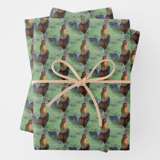 Rooster Crowing Animal Natuur Pattern Inpakpapier Vel (In situ)