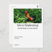 Rooster Crowing Briefkaart (Voorkant / Achterkant)