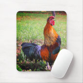 Rooster Crowing Natuur Muismat (Met muis)