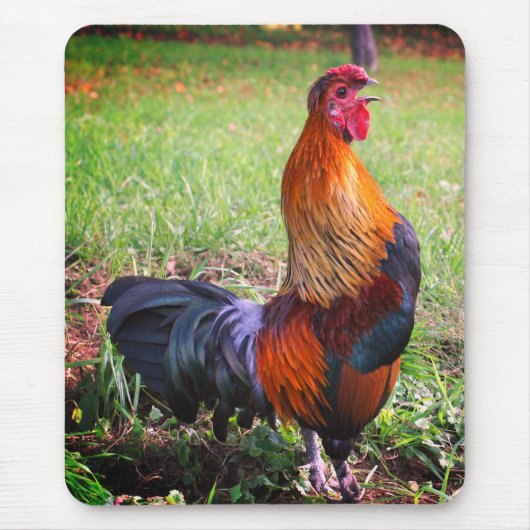 Rooster Crowing Natuur Muismat (Voorkant)