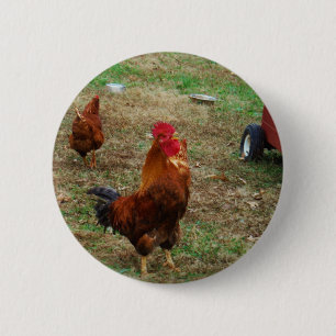 Rooster Crowing Ronde Button 5,7 Cm