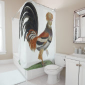 Rooster de rideau de douche (En situation)