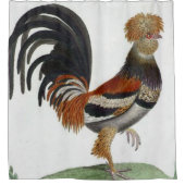 Rooster de rideau de douche (Devant)