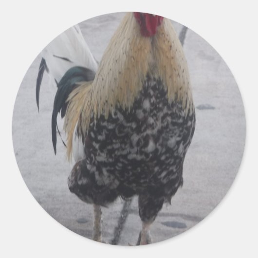 Rooster Doodle Doo Ronde Sticker (Voorkant)
