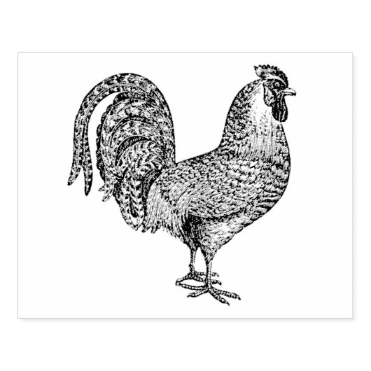 Rooster Drager Lithograaf 1 Rubberstempel (Afrduk)