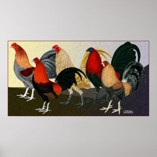 Rooster Dream Team Poster (Voorkant)