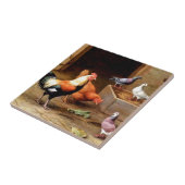 Rooster-duiven Tegeltje (Zijkant)