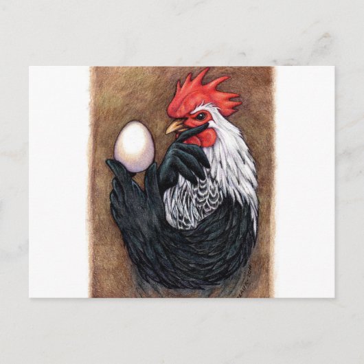 Rooster Egg Drawing Chicken Philosopher Briefkaart (Voorkant)