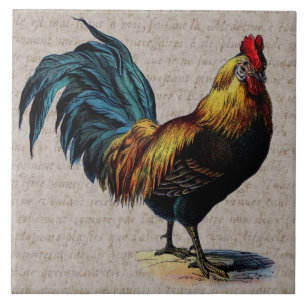 Rooster en Antiek tekstopslag - Aangepast Tegeltje