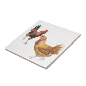 Rooster en Brown Hen Tegeltje (Zijkant)