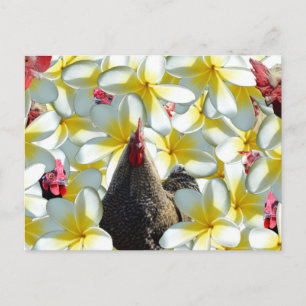 Rooster en Frangipanis Briefkaart