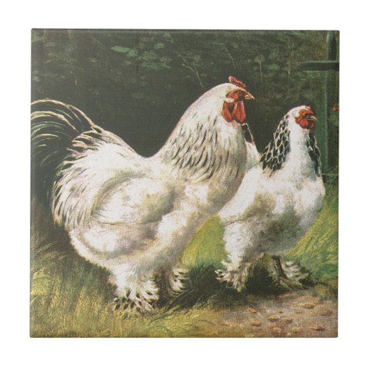 Rooster en Hen Tegeltje (Voorkant)